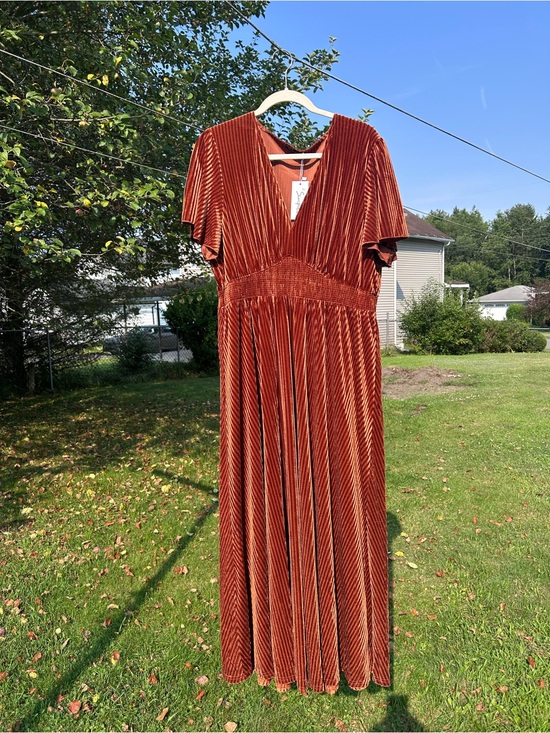 Dresses & Skirts - NEW Burnt orangey gold velvet maxi dress